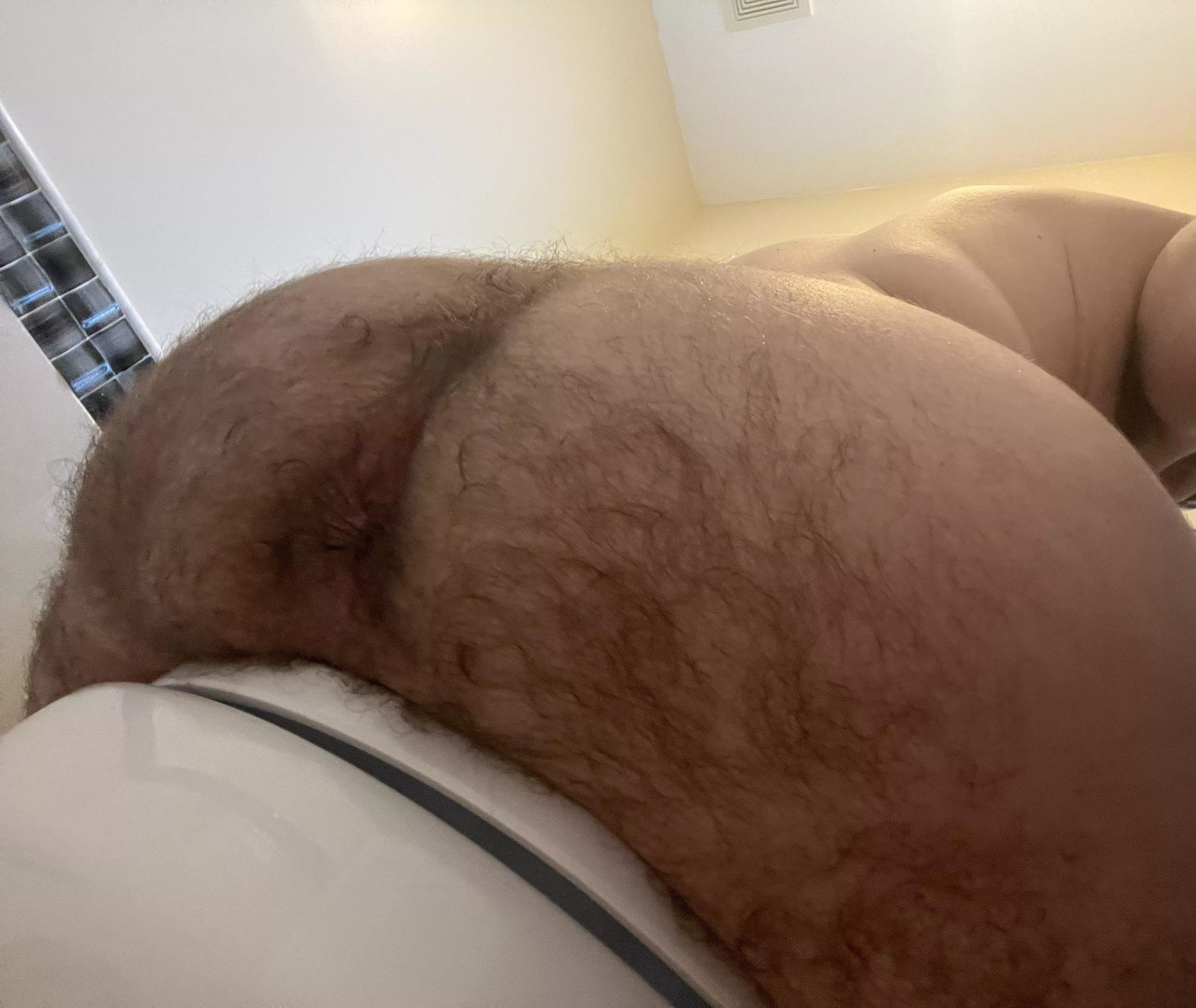 🧸 posted by StatisticianOk4764