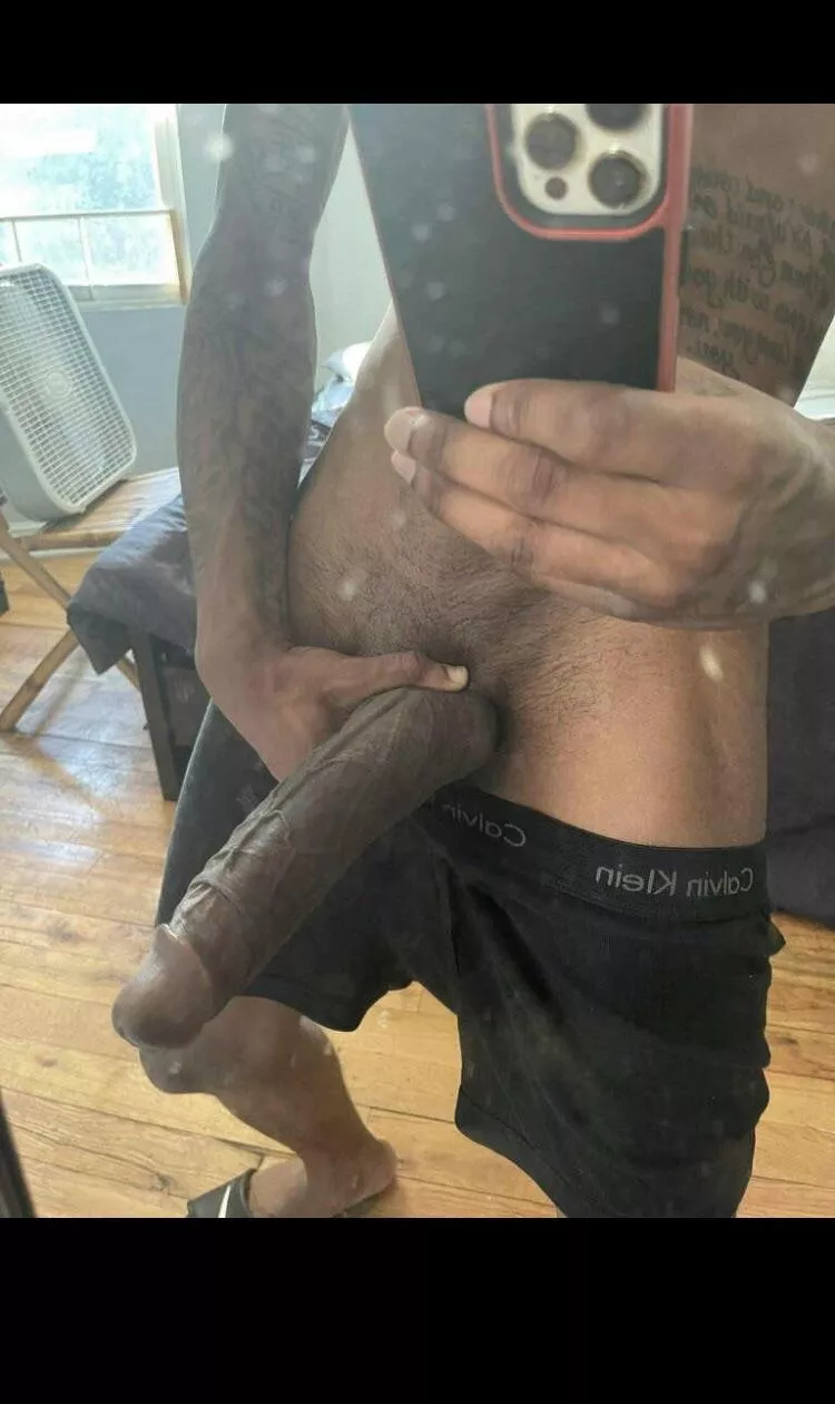 🔥 posted by Altruistic-Luck751