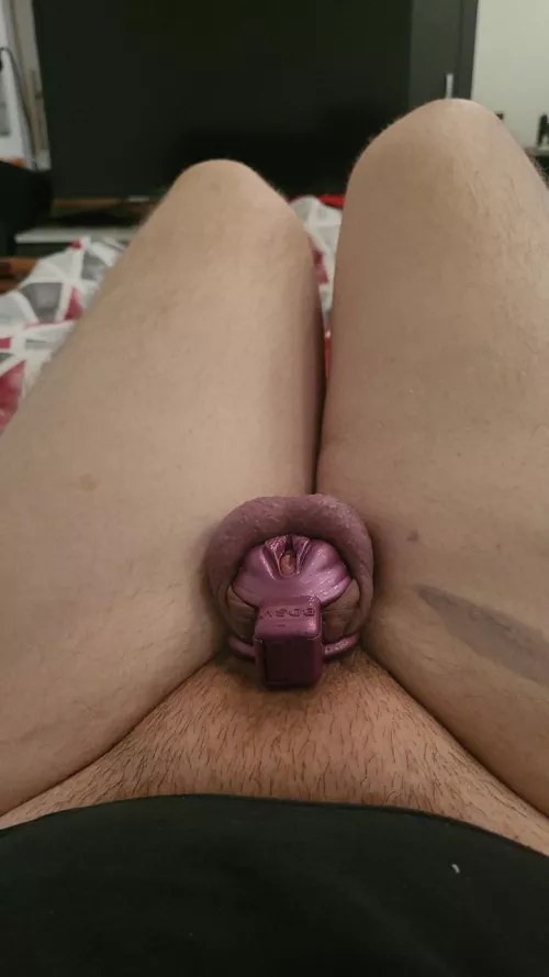 🇩🇪 by DumbassDumbBoi