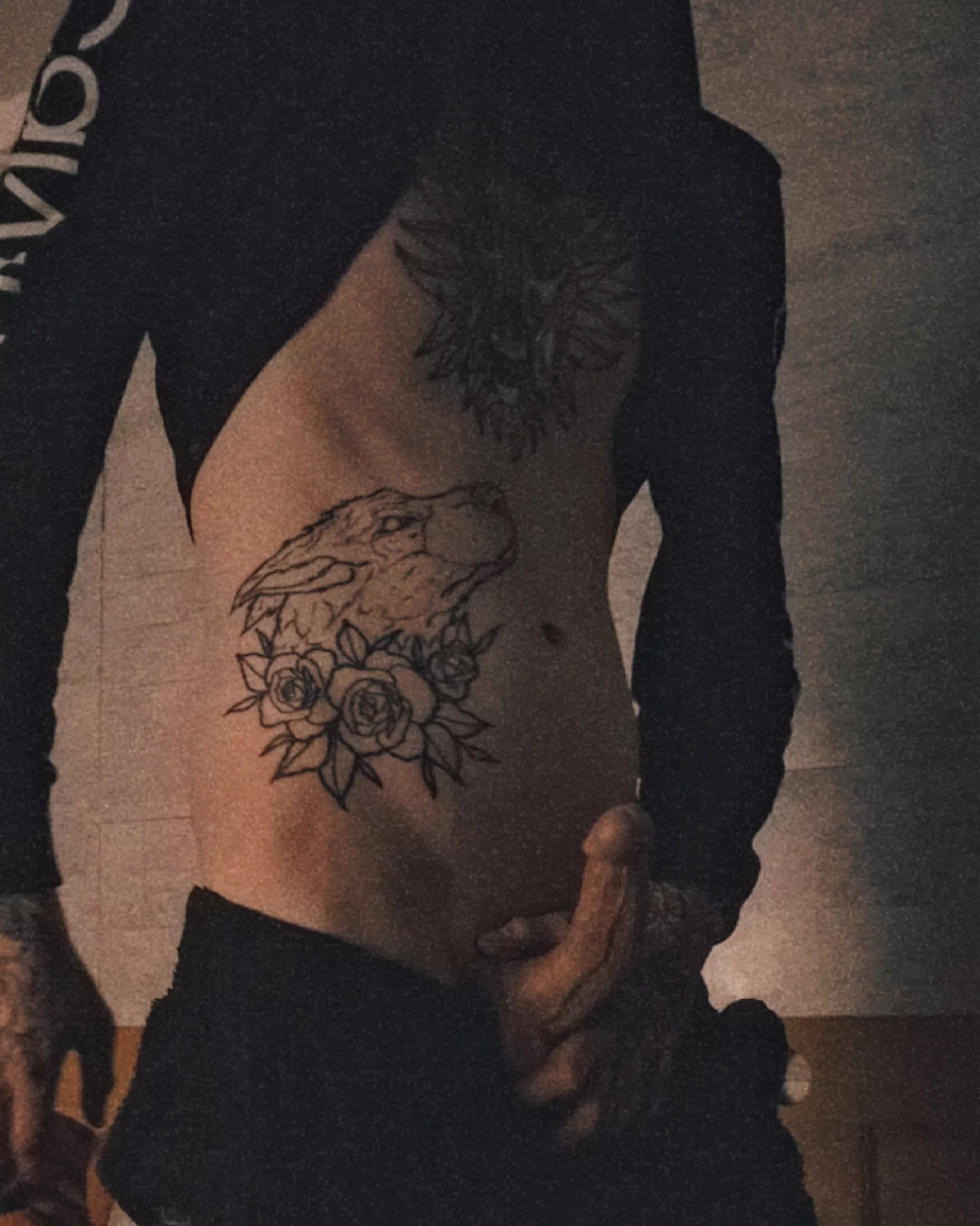 🦁🤭 posted by -Anubis963-