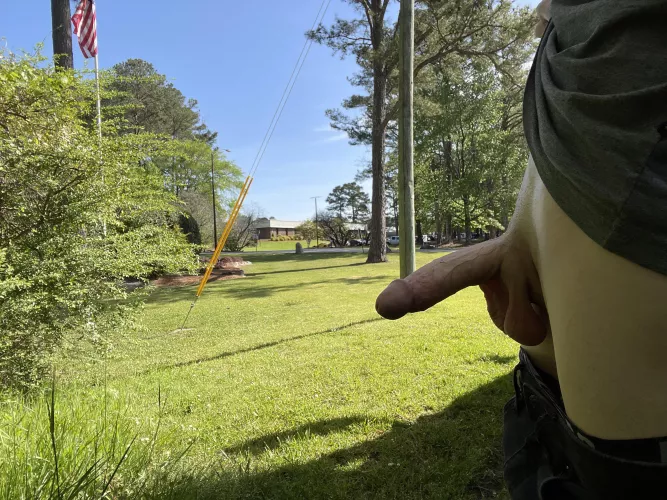 ☀️ by verywhitemale