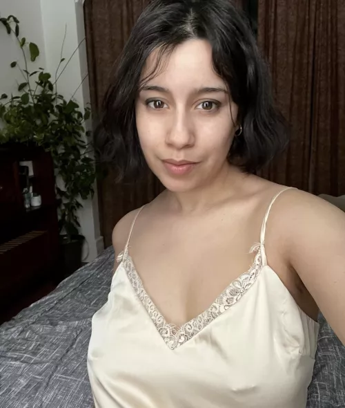 🐢🐢🐢 by vymysela