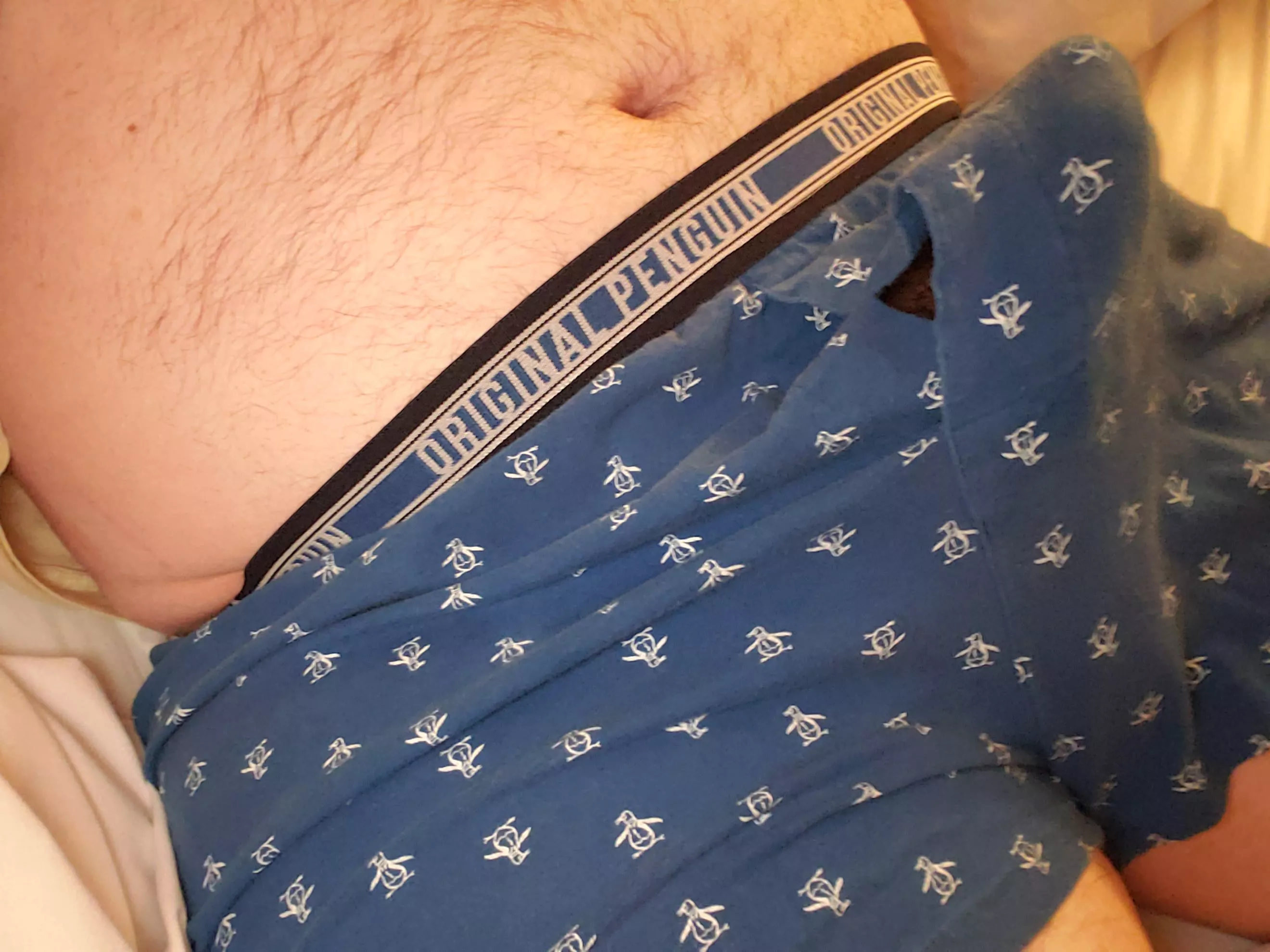 🐧🐧 posted by SMDBZ25