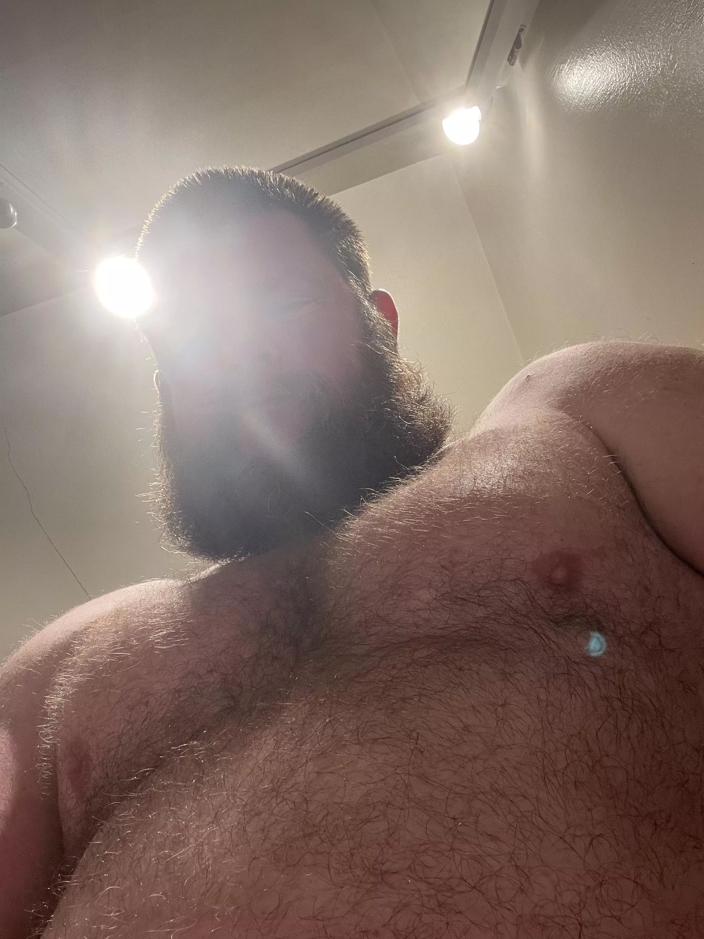 🐻 ❤️ posted by geo-matrix