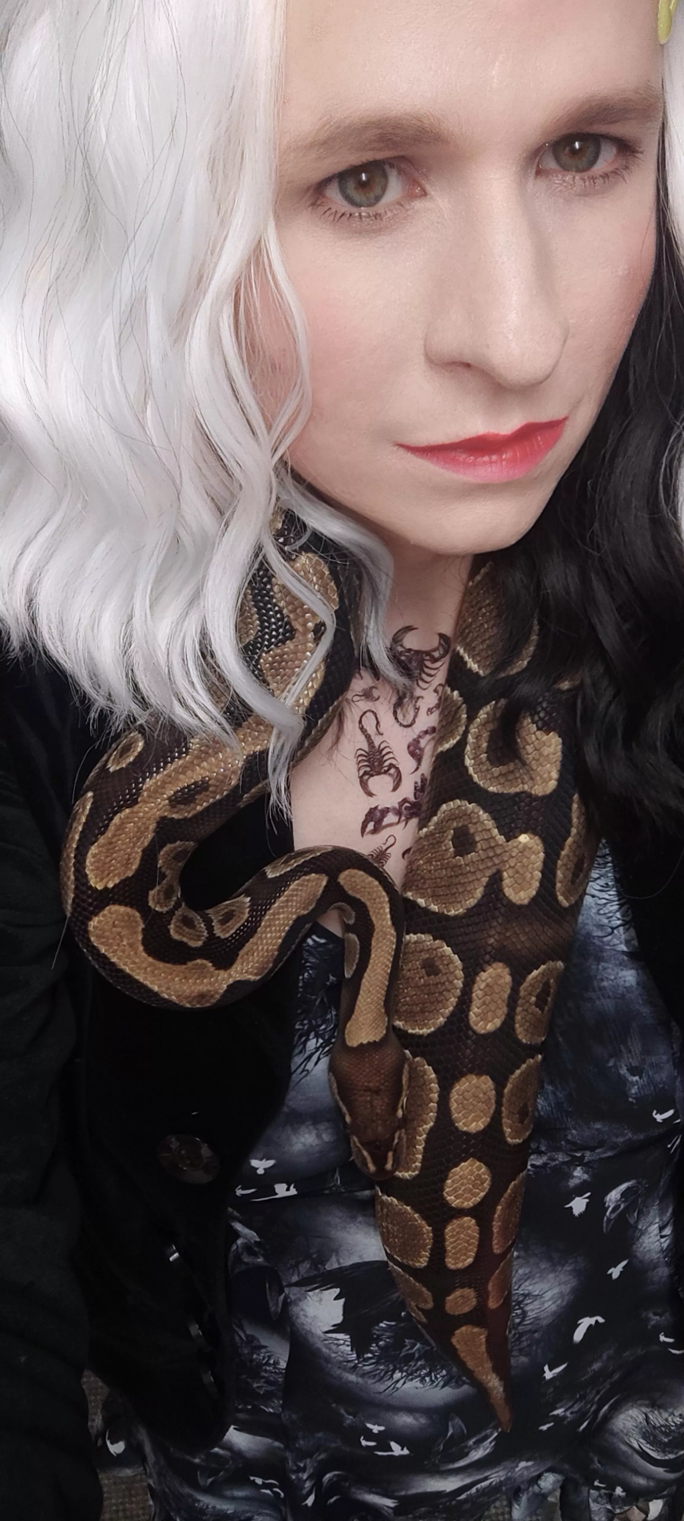 🦖🦖🐍🐍 posted by Ok_Conference1952