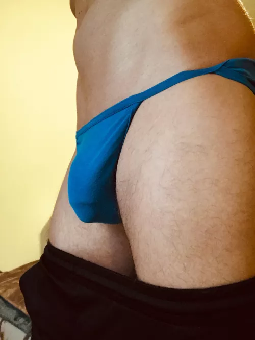 🐬 by blazexmichaels