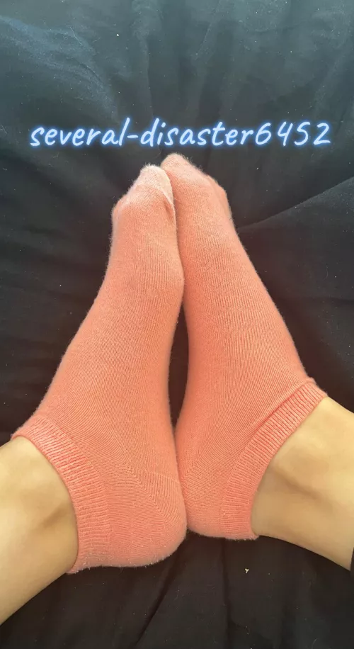 😋 by Several-Disaster6452