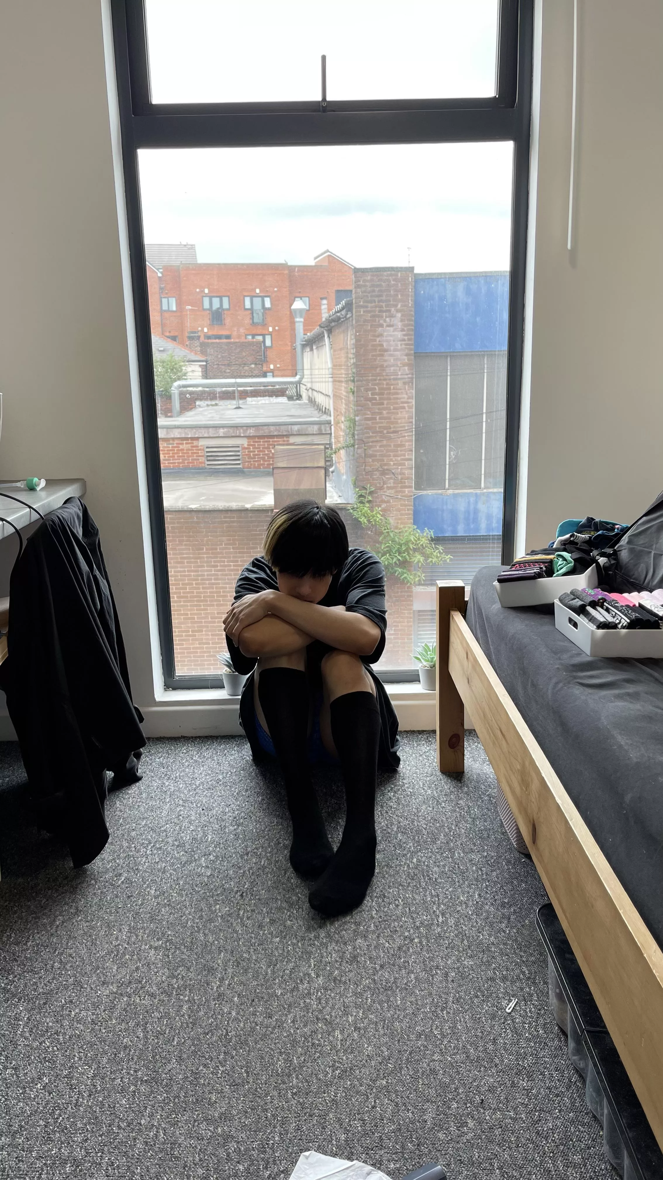 🐻 posted by SailMaleficent1509