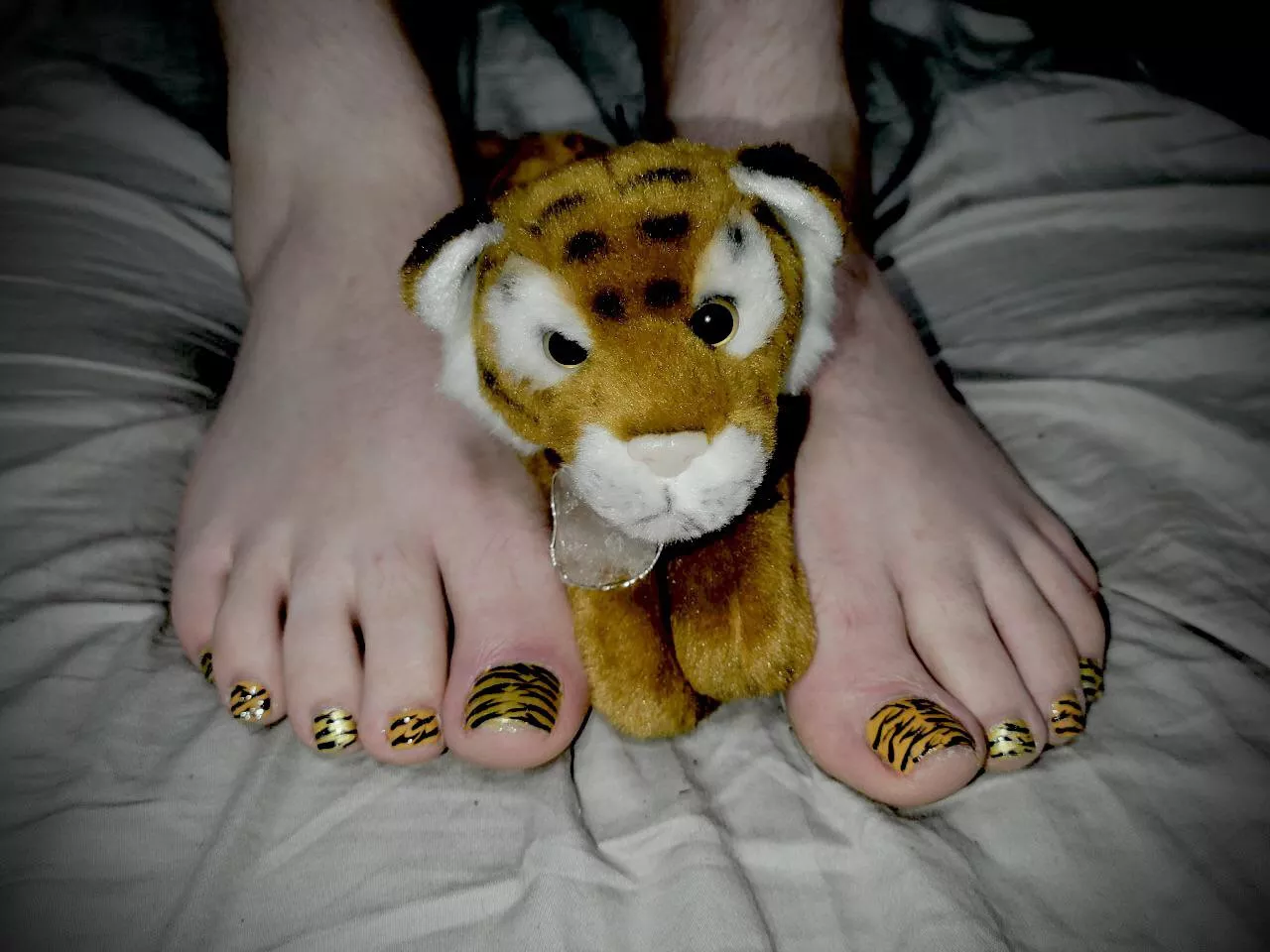 🐯 posted by propertyofmra