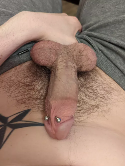 😈 by WH1T3D1AM0ND