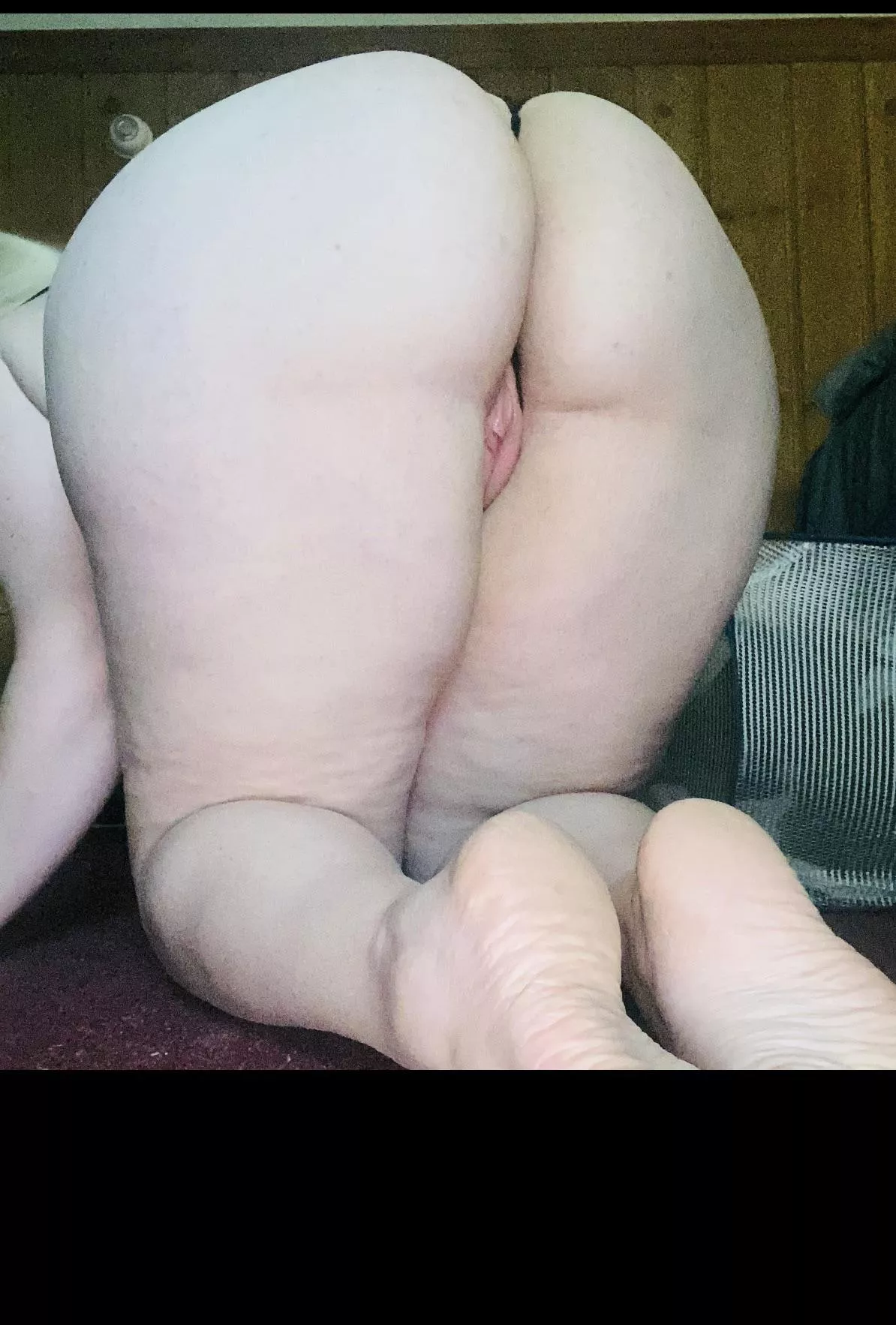 🍑 posted by shmeckal