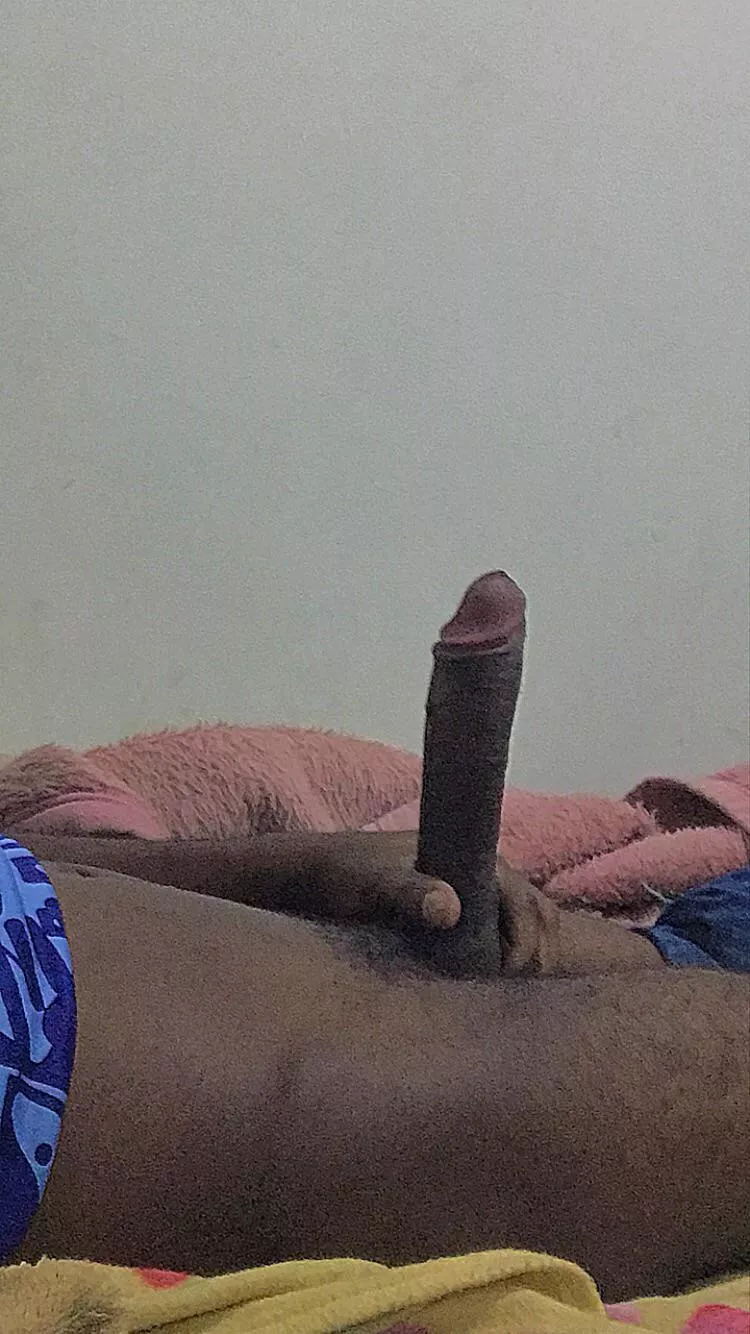 🇧🇷 posted by Specialist_Stable_28