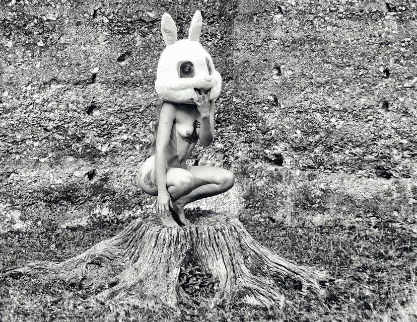 🖤🐰🖤 posted by mypurgatoryplayroom