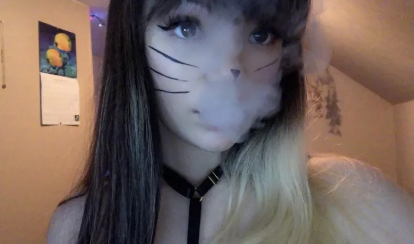 =^.^= by cherrychats