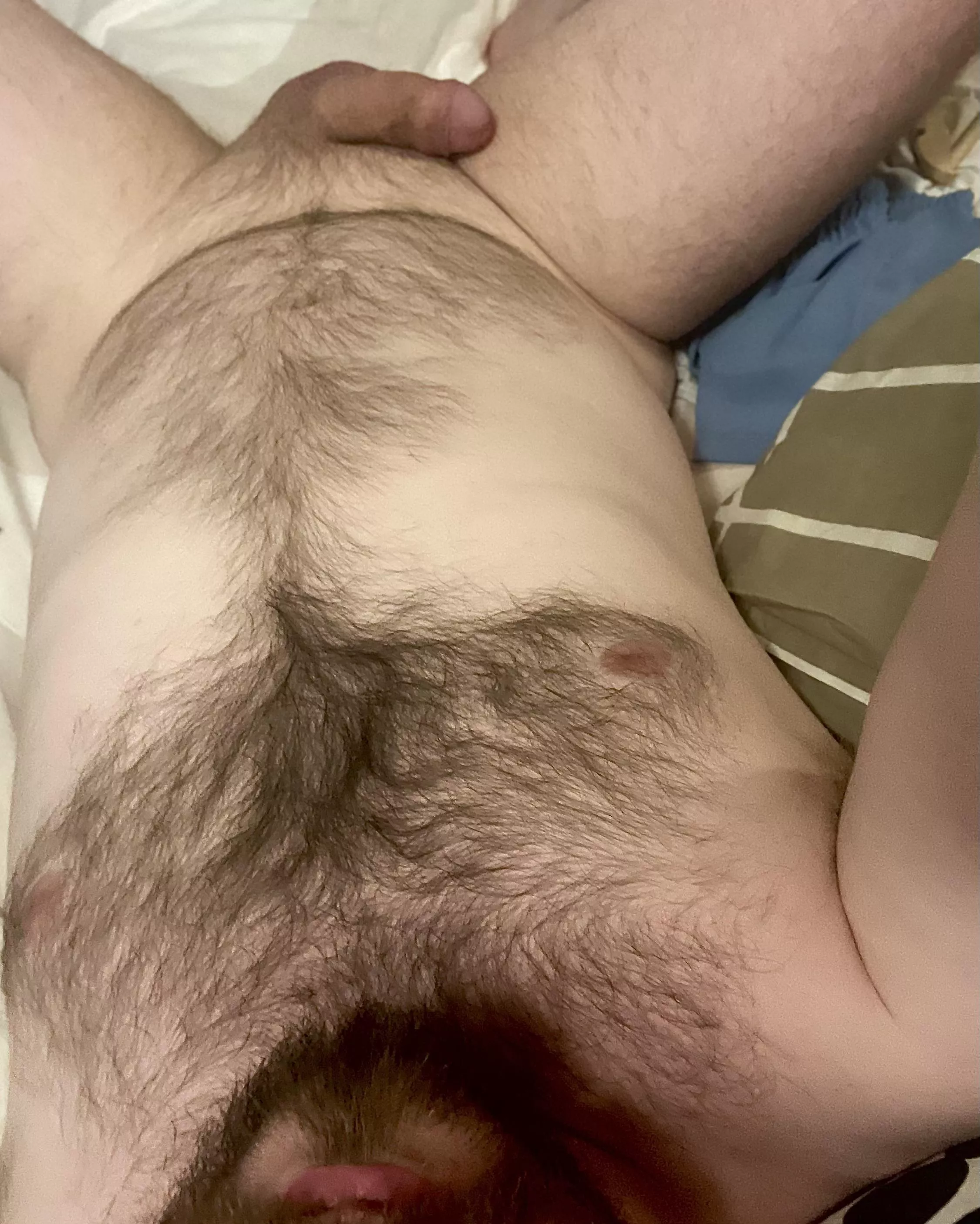 🐻 posted by jx23p