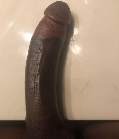 🍆🍆 by TopInfluence2934