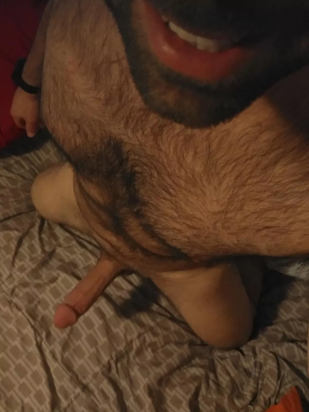 🌈🏳️‍🌈🐻 posted by foxybeer