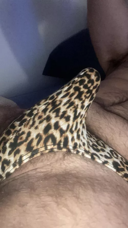 🐱 by ImaginaryTwist8