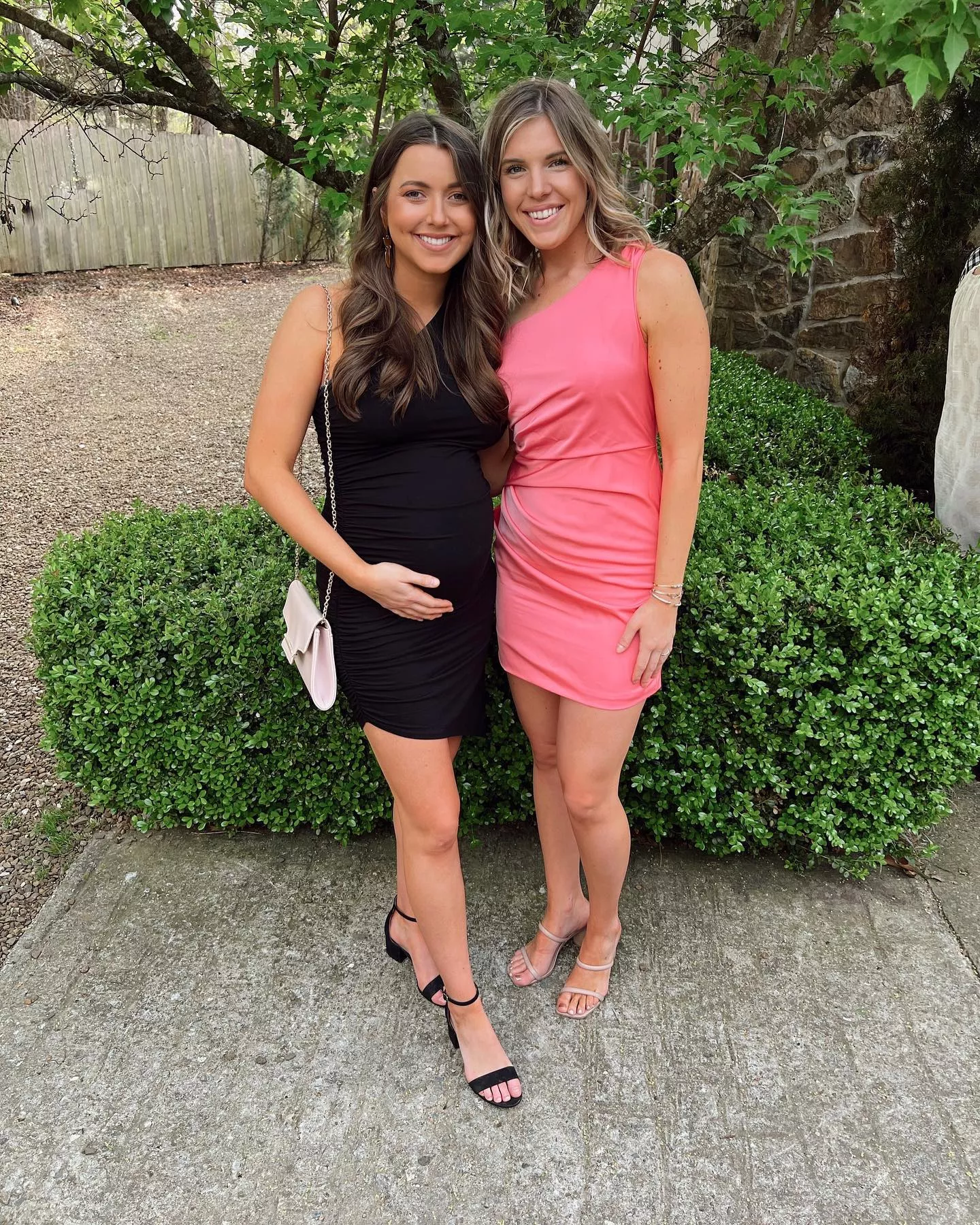 1 or 2? posted by untamedtomato