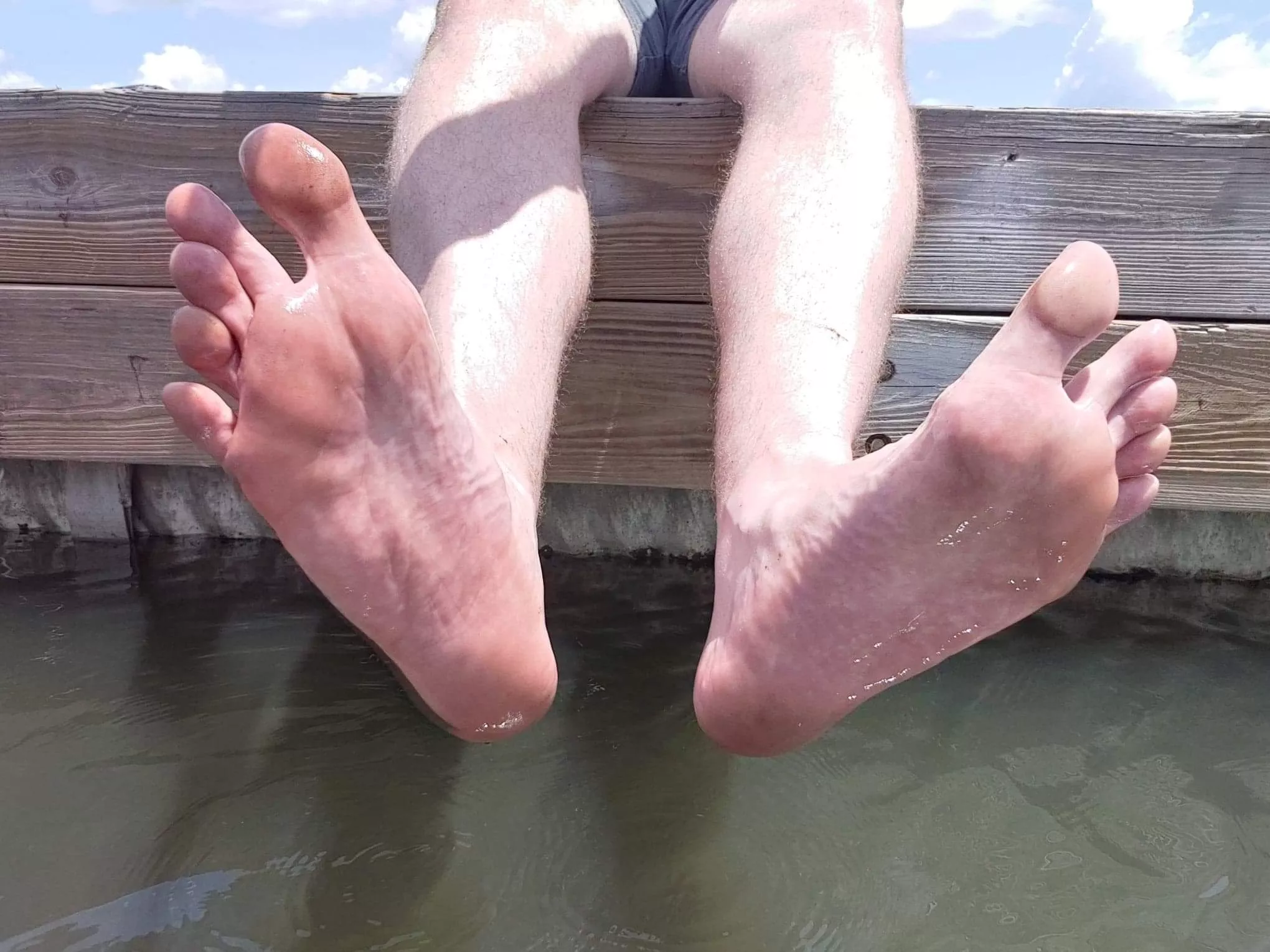 16s on the boat dock. posted by thatinterestingguy