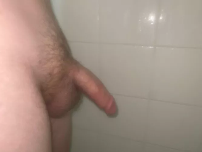 [18] by Ok-Lingonberry-8250