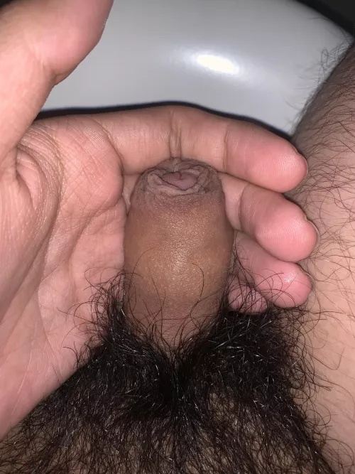 [18] and horny by Own_Egg7921