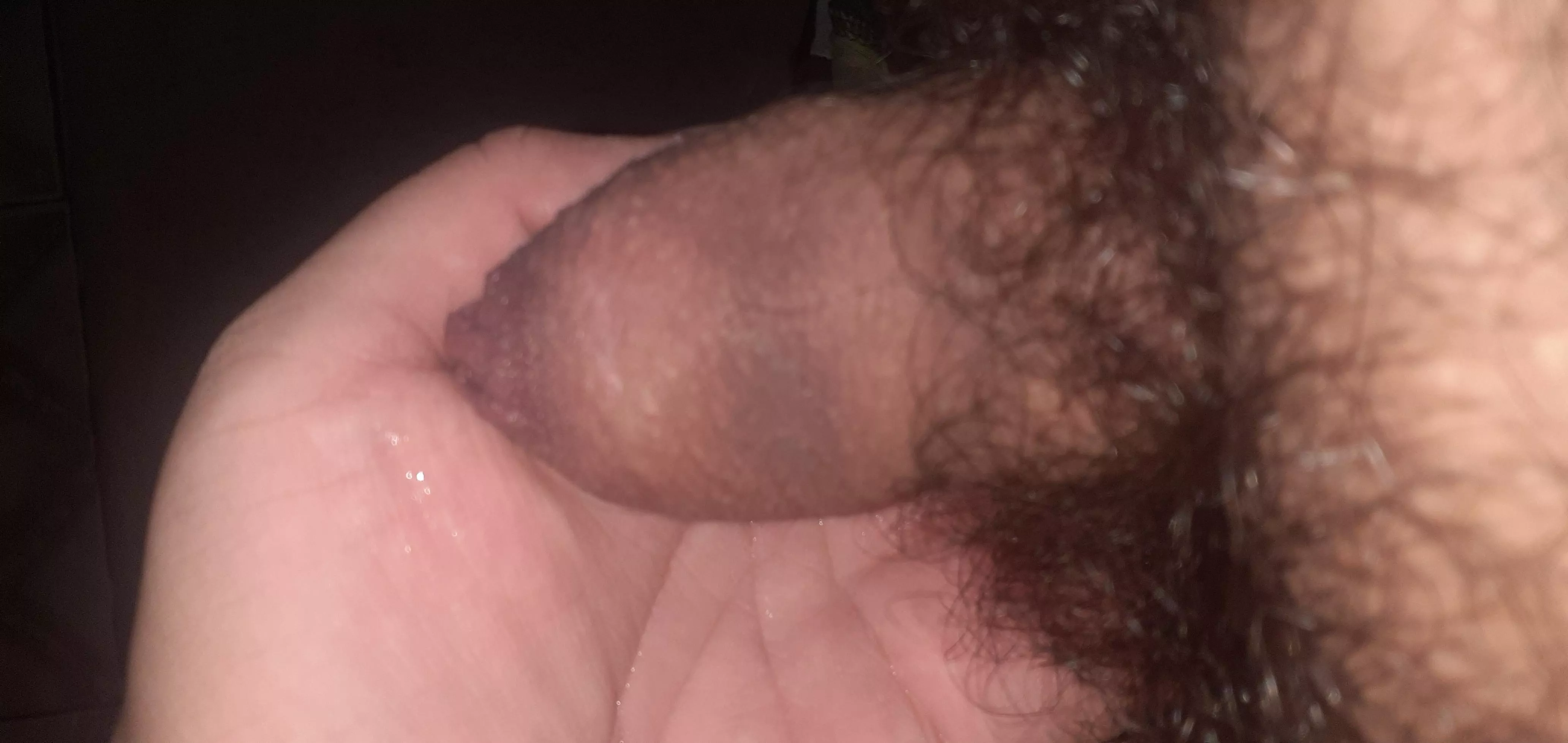 [18] chubby brazilian virgin posted by ComprehensiveRope652