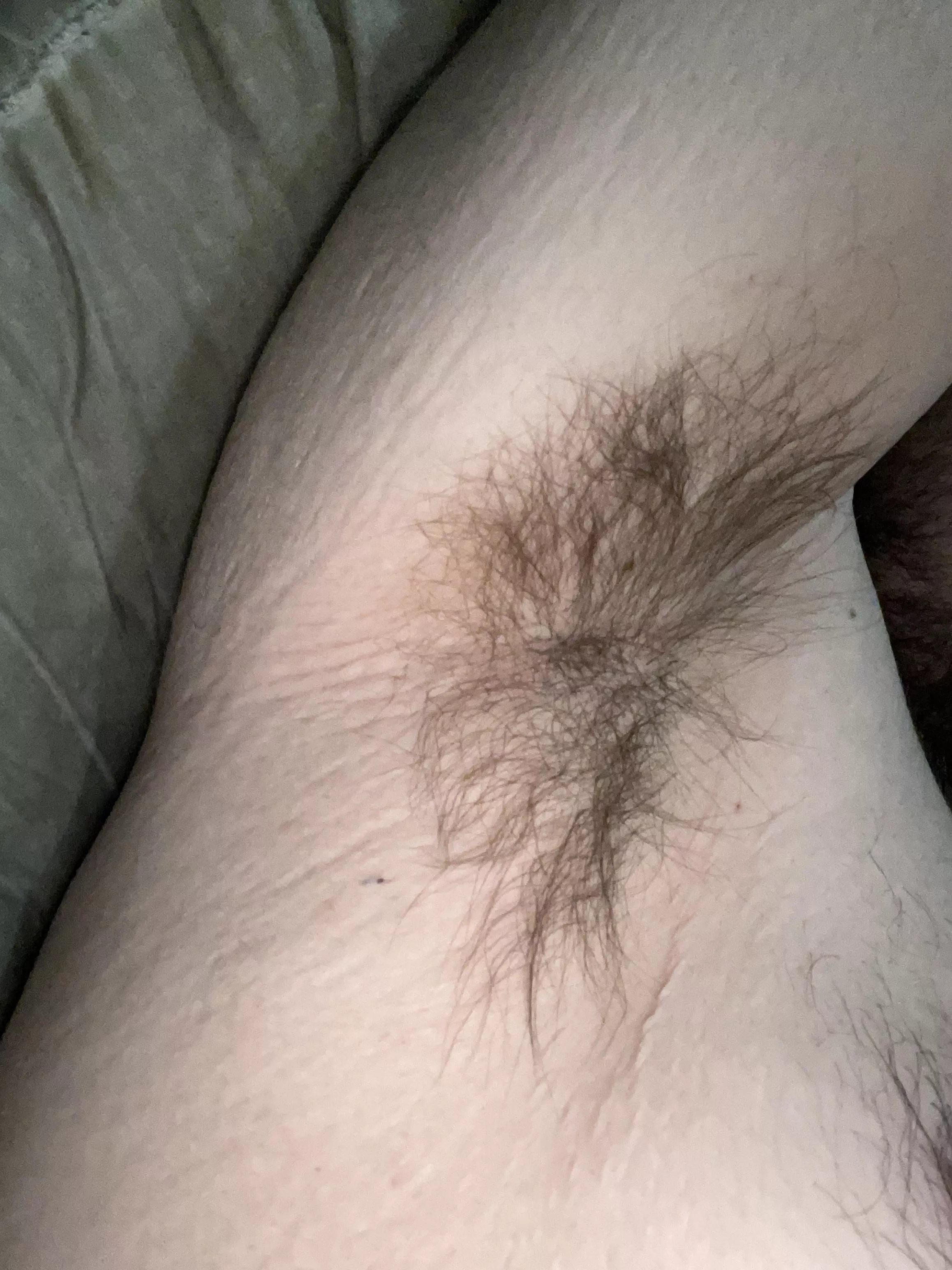 18. Dm me if you wanna sniff them posted by Switch98pitlover