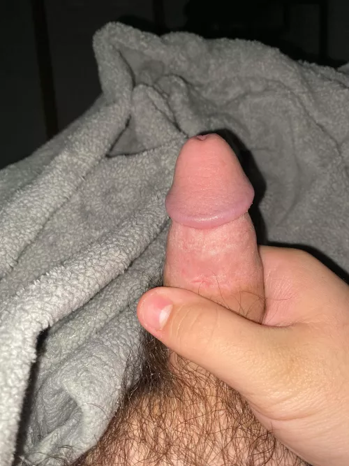 [18] getting semi-hard! wanna come jerk with me? :) by Alive-Significance-5