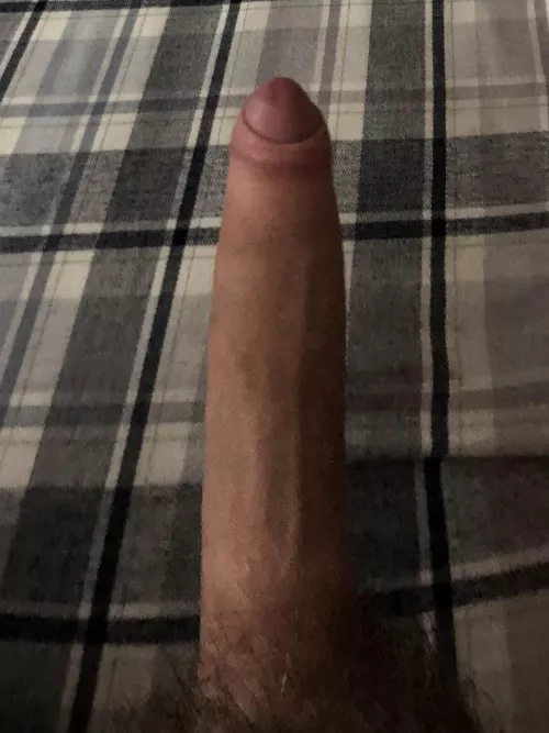 [18] horny and bored looking to chat, shoot me a chat if you want to talk or get pics by im_bored_lets_reddit