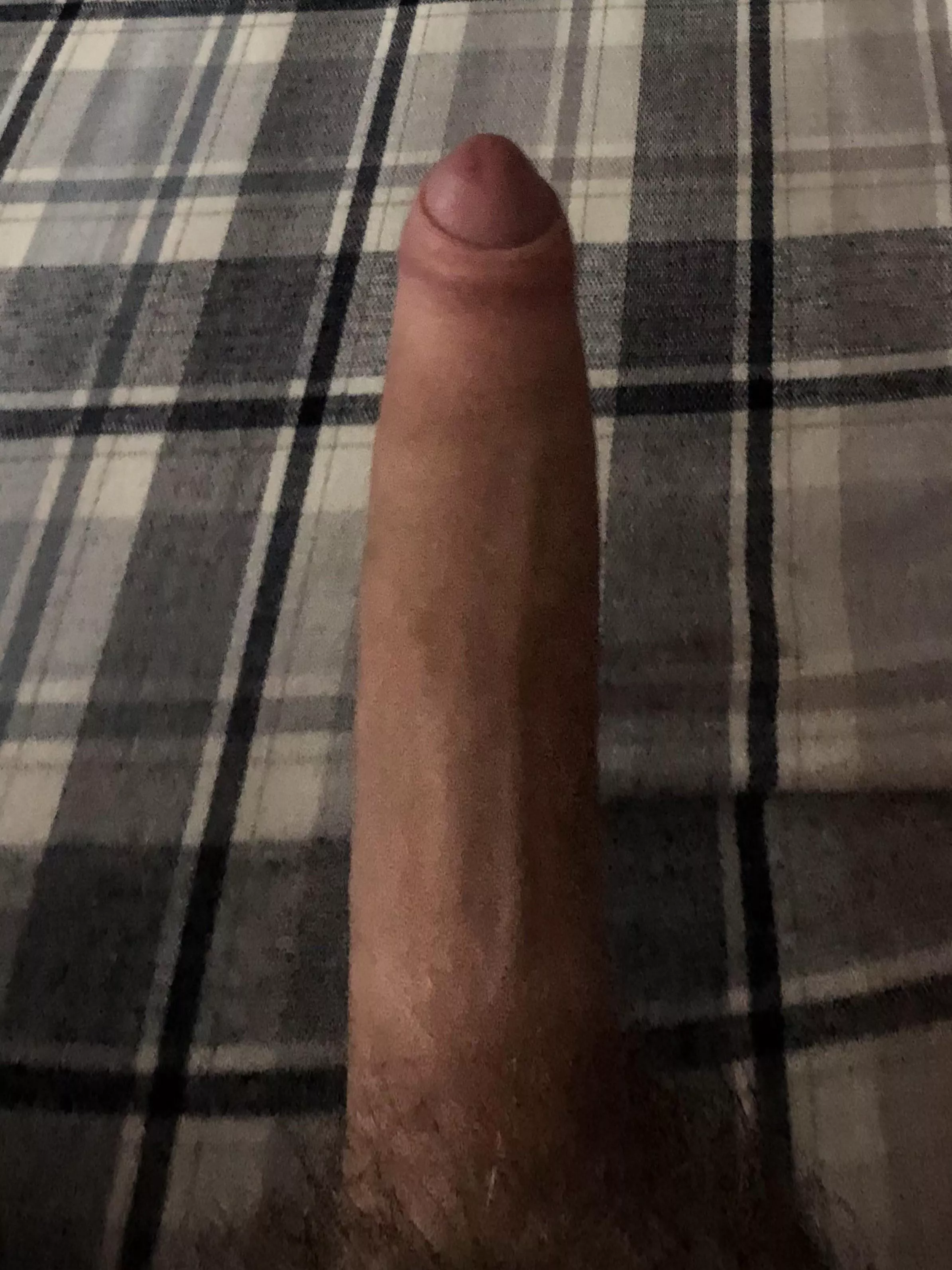 [18] horny and bored looking to chat, shoot me a chat if you want to talk or get pics posted by im_bored_lets_reddit