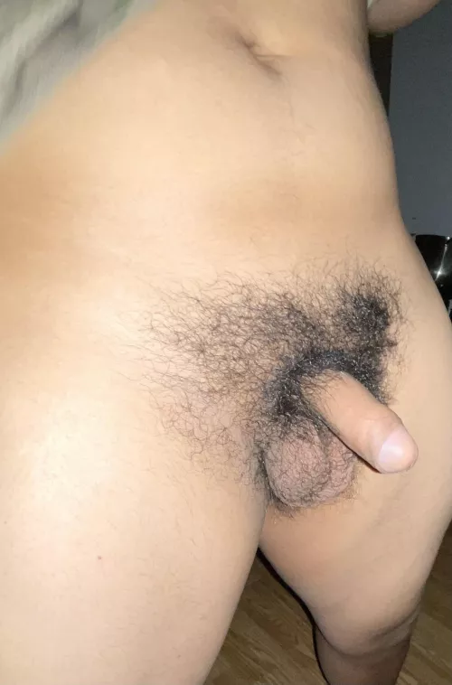 18 Im really hairy down there 👇 by NoHandle2262