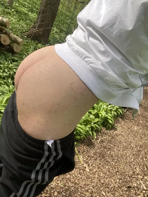 (18) in the woods and hornyy by hmm5089