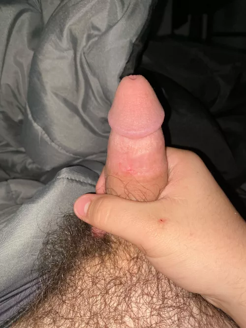 [18] it’s hard for ya ;) send me a dm! by Alive-Significance-5