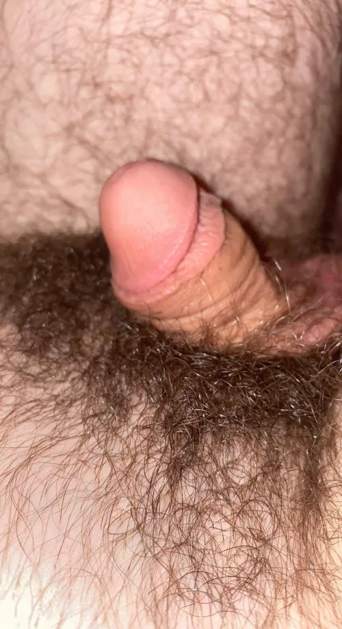 [18] Look at my tiny little dick😊 by bobispil