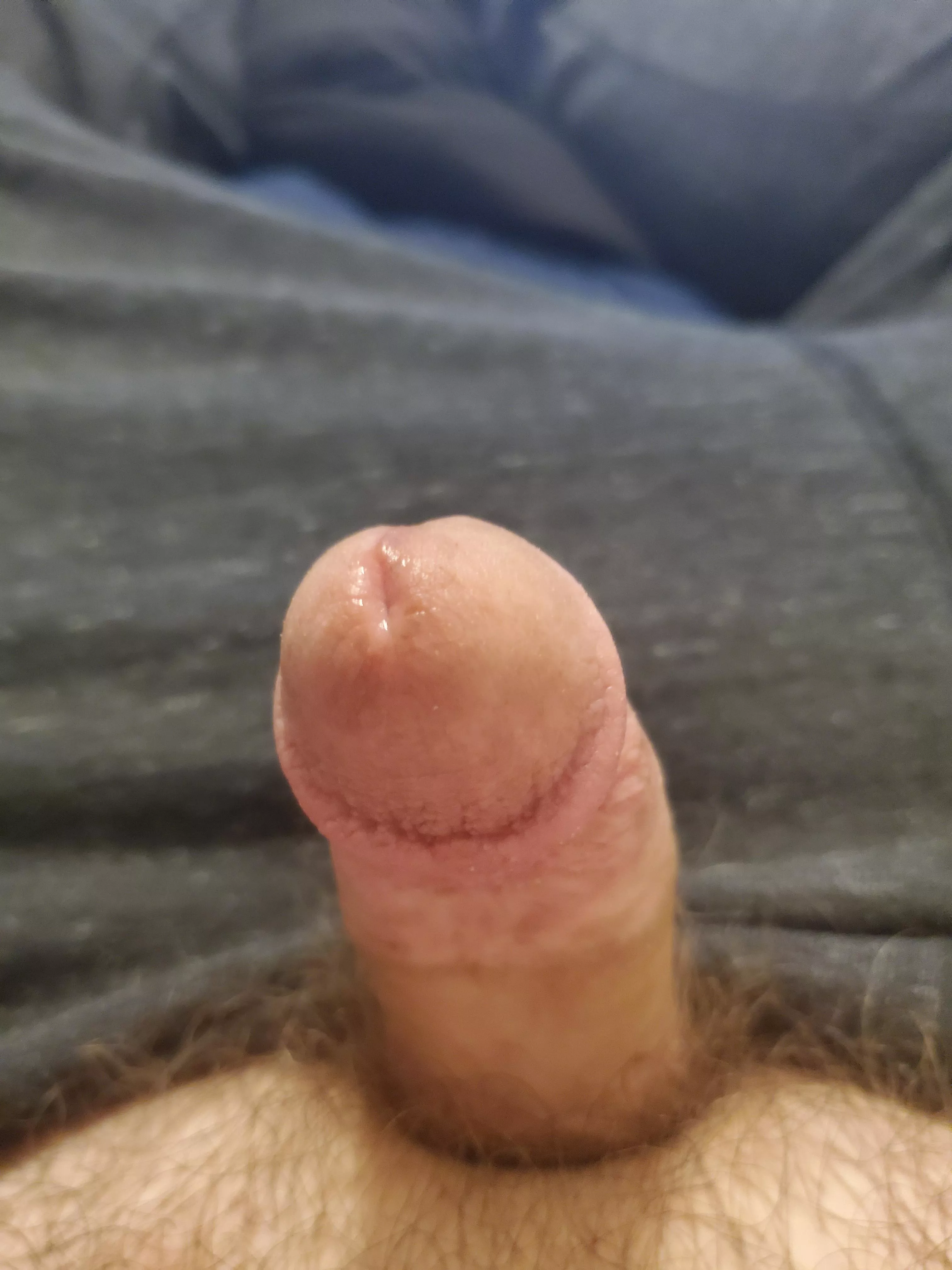 [18] need a ass to release Into posted by False-Season3343