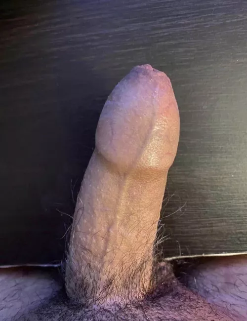 (18) super horny rn anyone want to chat??? by AdhesivenessStrict65