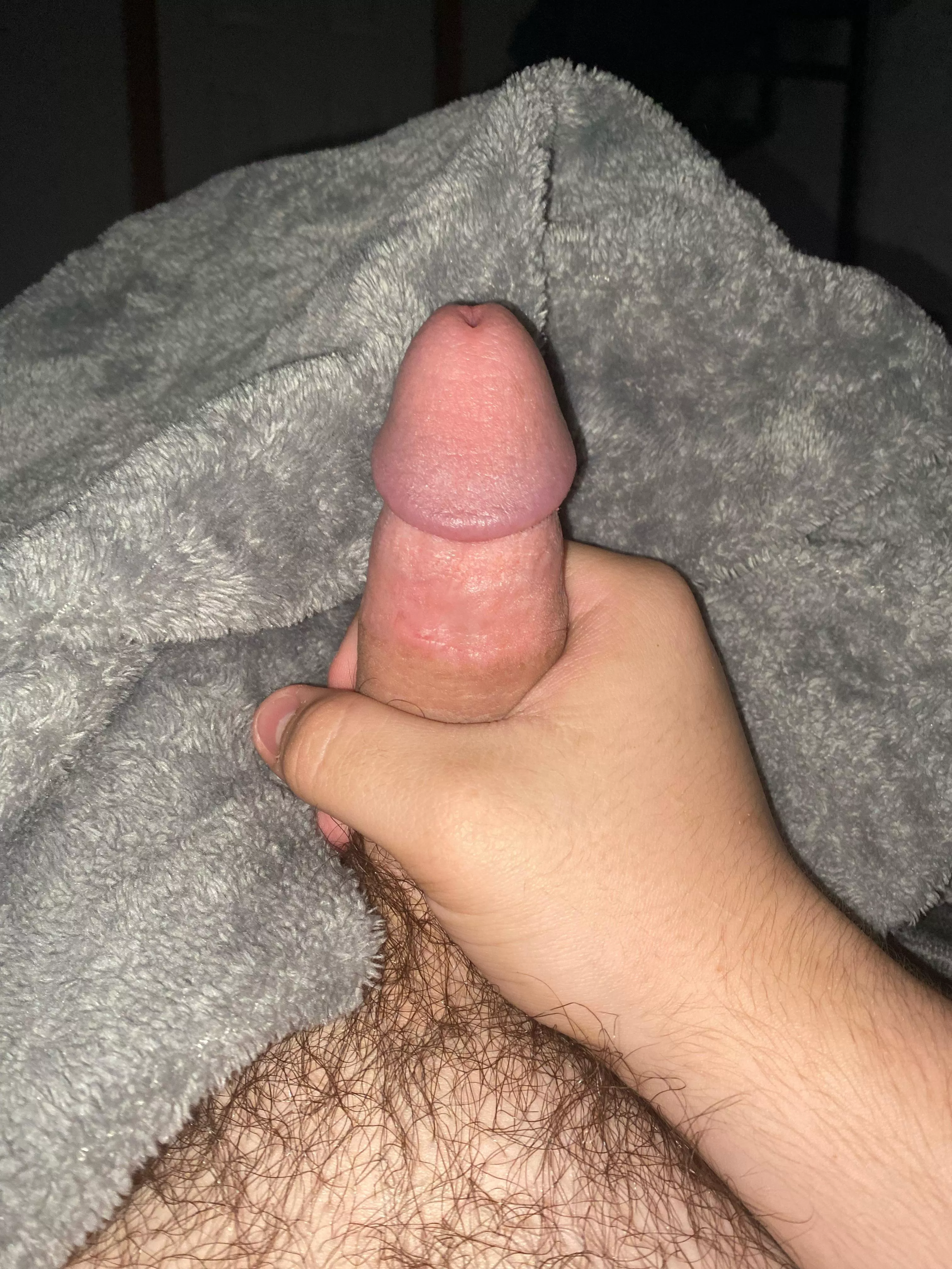 [18] throbbing rn ;) wanna jerk with me? shoot me a dm! posted by Alive-Significance-5