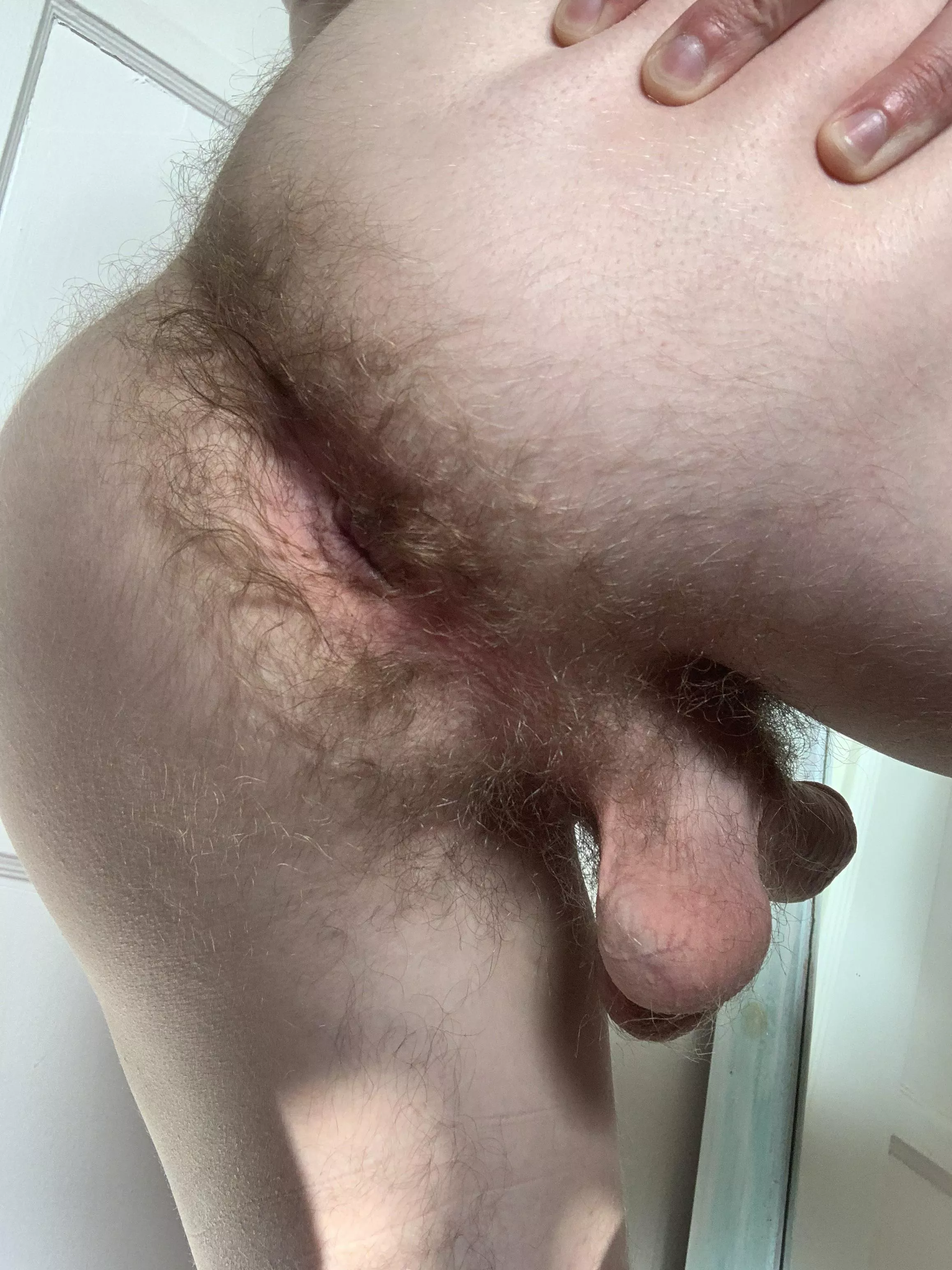 18yo virgin ass begging to be filled posted by dssb441