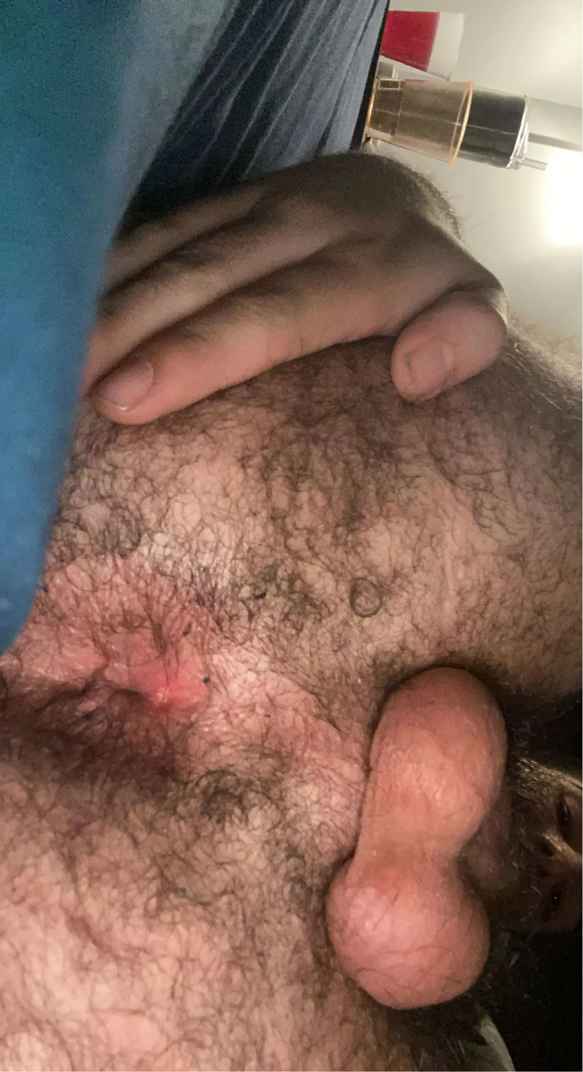 19 come breed your hairy boy posted by Intelligent-East3776
