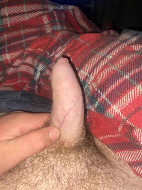 [19] could use some help ;) by GiraffeDirect420