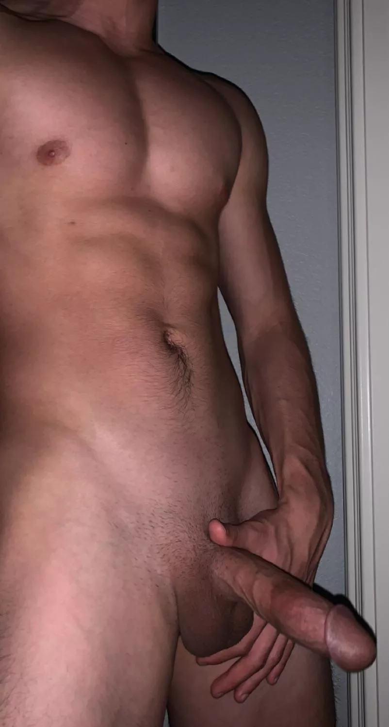 (19) have I earned alpha status yet? posted by mac1073