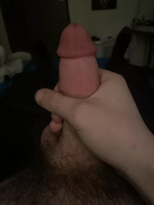 19 high asf by Ok_Mango_9882