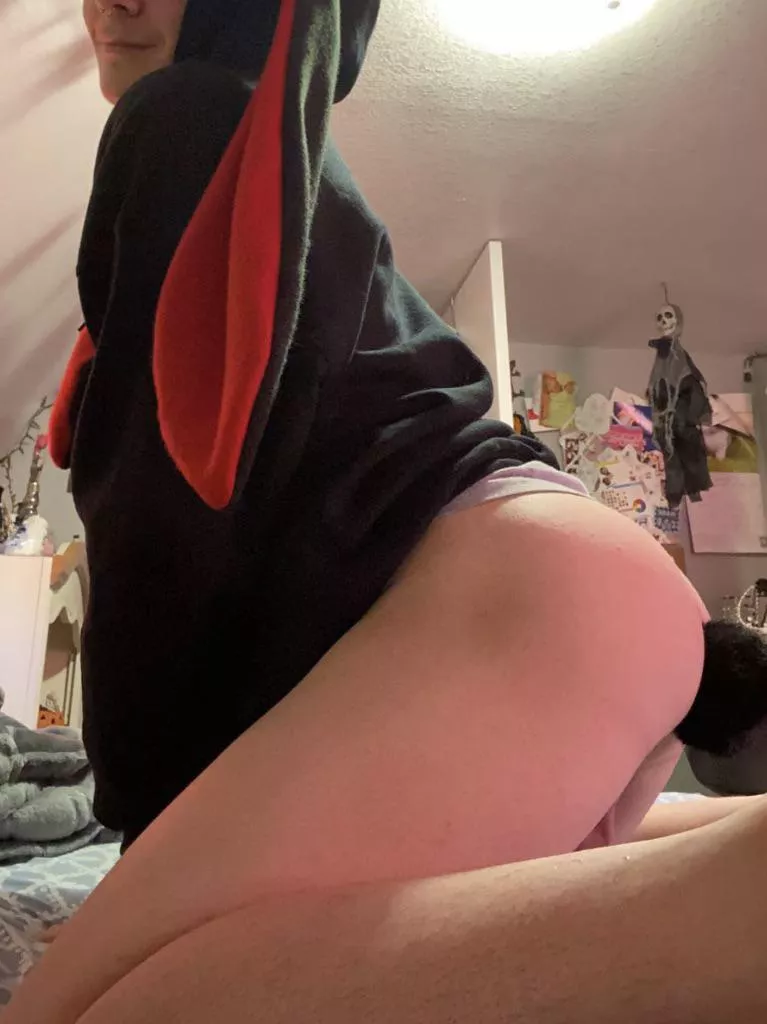 (19) I could be your naughty little bunny 🥺💖 posted by bunnyXboi