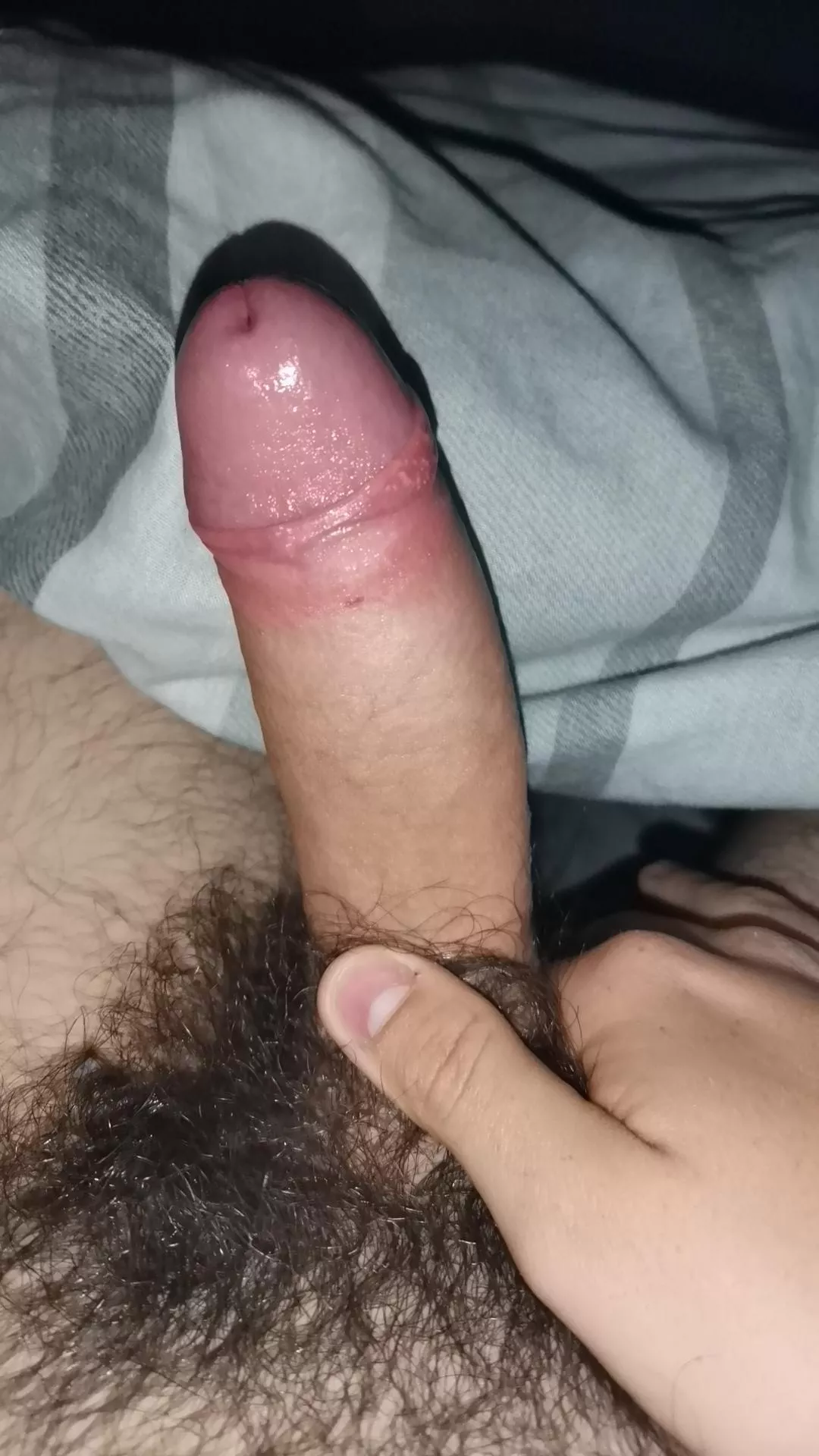 (19) I need to shave but here's my dick before hand posted by Magic_stick99