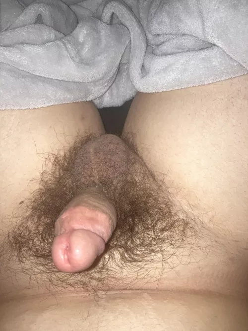 (19) I’ll show anything by sixtdchgr