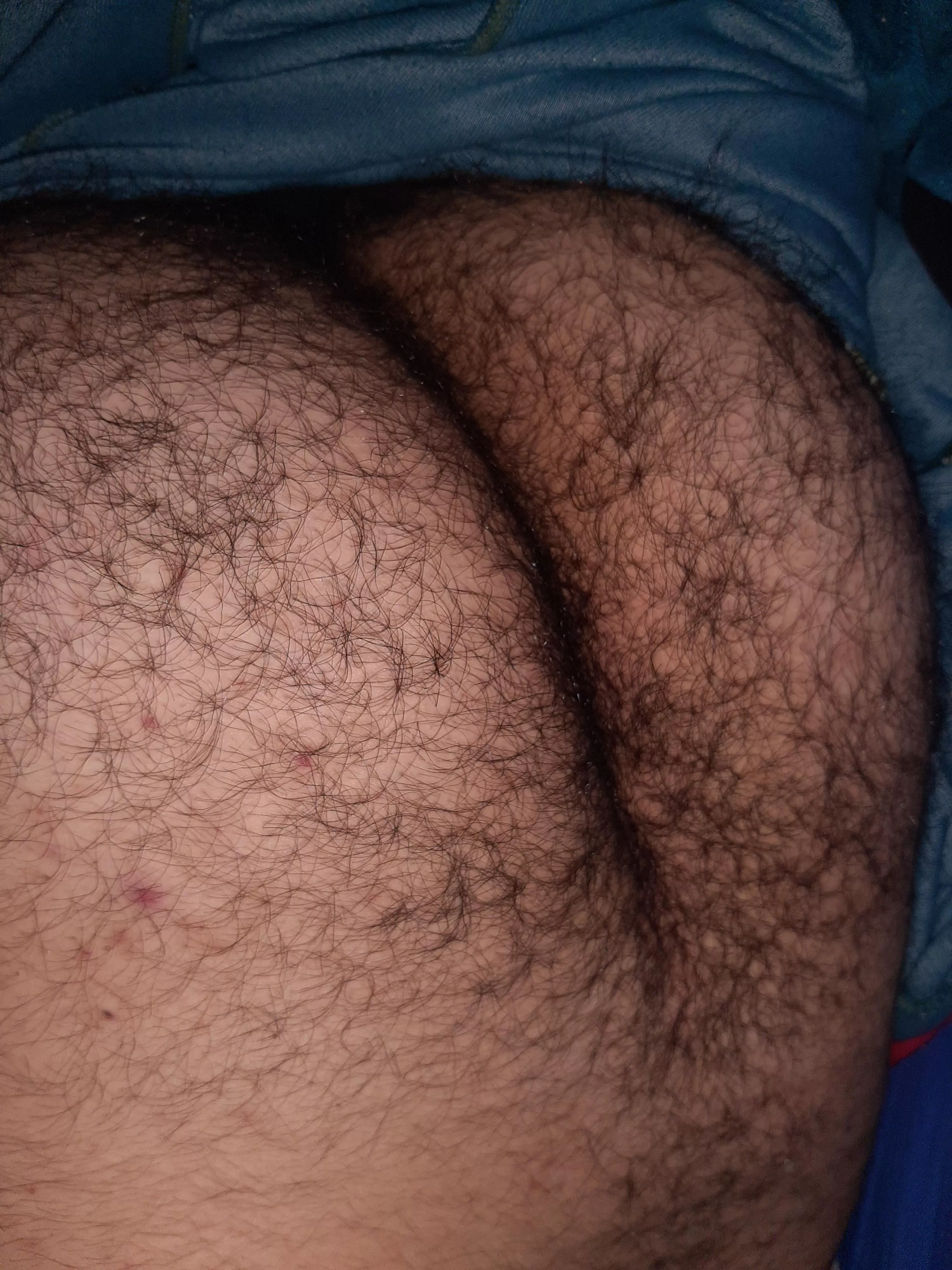 [19] like my fuzzy ass? posted by rian_harper