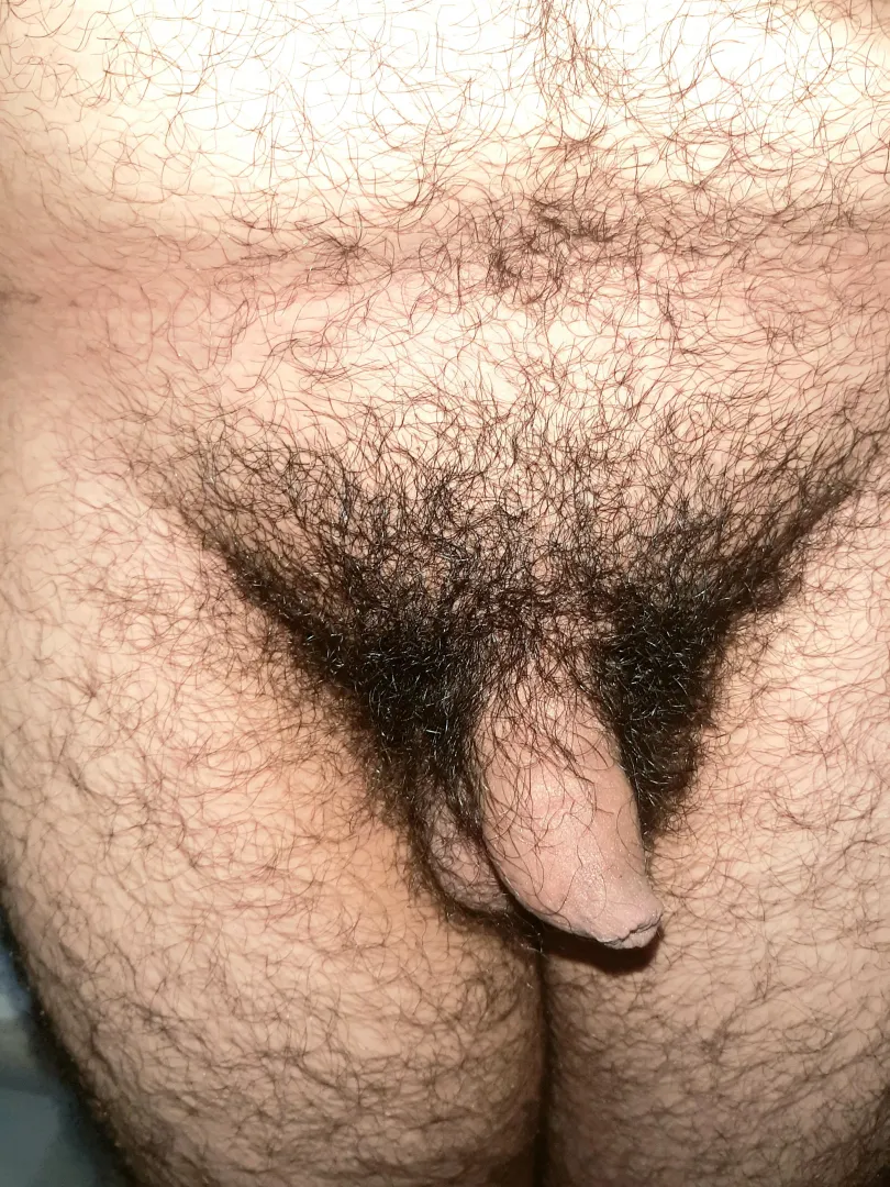 [19] looking for someone to make some Sph with me posted by rian_harper