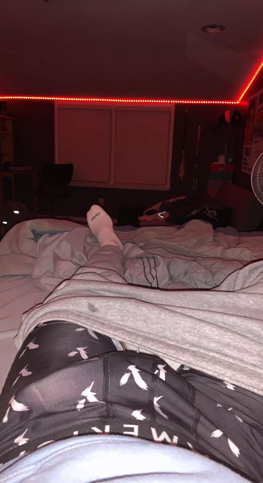 (19) my morning wood isn’t noticeable right? posted by chonker99