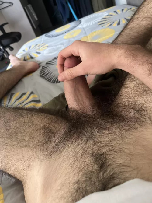 19 , sc bernardgaut2785 by Latter-Bumblebee9550